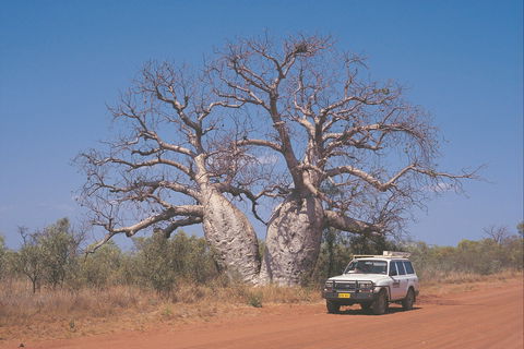 Gibb River Road - Accommodation Cairns 2