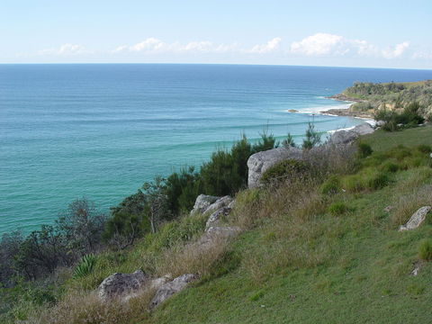 Goanna Headland - Accommodation Cairns 1