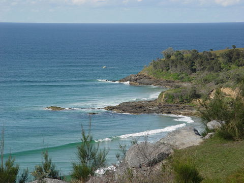 Goanna Headland - Accommodation Cairns 2