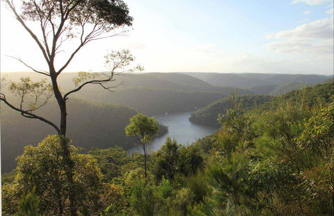 Great North Walk - Berowra Valley National Park - Accommodation Cairns 0