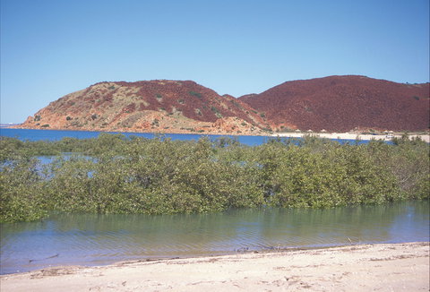 Hearson's Cove - Accommodation Cairns 1
