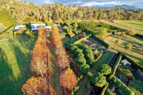 High Country Maze - Accommodation Cairns 1