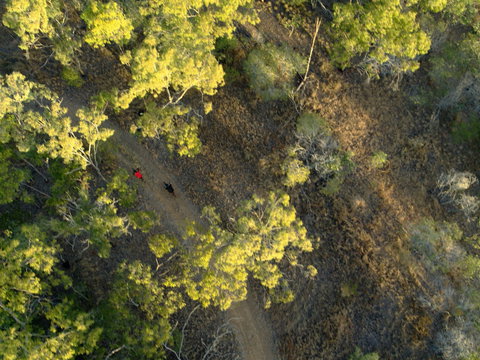 Hillview Drive Reserve - Accommodation Cairns 2