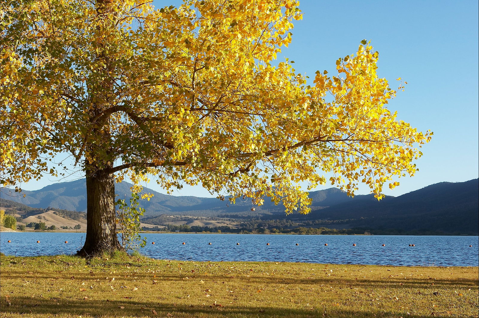 Snowy Mountains NSW Accommodation Cairns