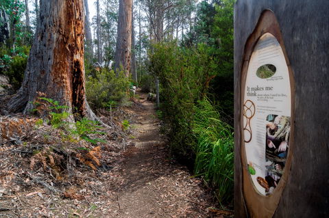 Lake St Clair (Cradle Mountain  - Lake St Clair National Park) - Accommodation Cairns 2