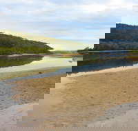 Mangrove Walk - Accommodation Cairns