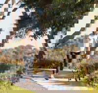 Meningie Walking and Cycling Trails - Accommodation Cairns