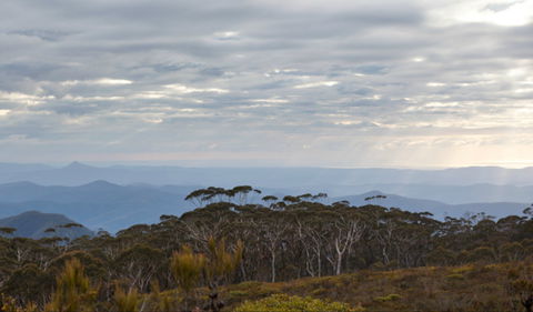 Mount Budawang Trail - Accommodation Cairns 0