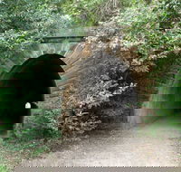 Mushroom Tunnel - Accommodation Cairns