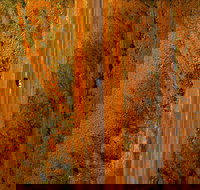 Newcastle Waters - Accommodation Cairns