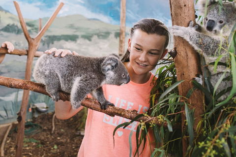 Oakvale Wildlife Park - Accommodation Cairns 0