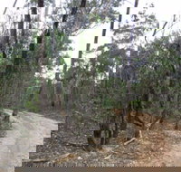 Paddys Ranges State Park - Accommodation Cairns