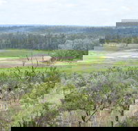 Princess Hills Girringun National Park - Accommodation Cairns