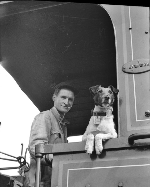 Railway Temora - Accommodation Cairns 0