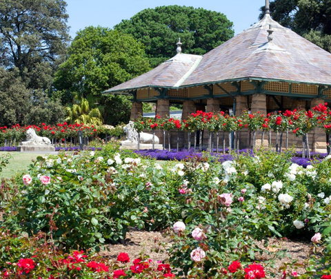 Royal Botanic Garden And The Domain - Accommodation Cairns 2