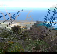 Strzelecki Peaks Great Short Walk - Accommodation Cairns