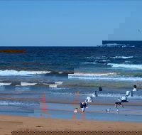 Surf Beach Batemans Bay - Accommodation Cairns