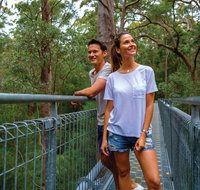 Valley of the Giants Tree Top Walk - Accommodation Cairns