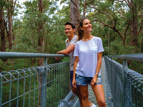 Valley Of The Giants Tree Top Walk - Accommodation Cairns 0