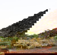 Whyalla Conservation Park - Accommodation Cairns