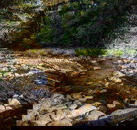 Wilson River picnic area - Accommodation Cairns
