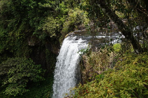 Zillie Falls - Accommodation Cairns 0