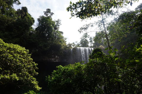 Zillie Falls - Accommodation Cairns 1