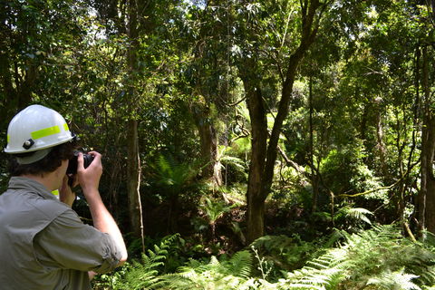 Alfred National Park - Accommodation Cairns 0
