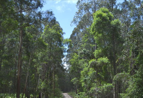 Alfred National Park - Accommodation Cairns 1