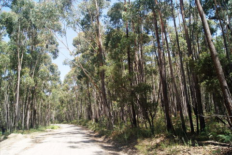 Alfred National Park - Accommodation Cairns 2