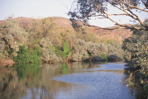 Alligator / Crocodile Hole - Accommodation Cairns 0