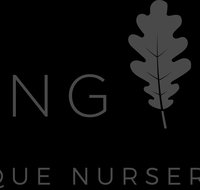 Anything Grows - Accommodation Cairns