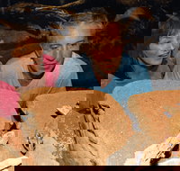 At the Creek Visitor Information Centre - Accommodation Cairns