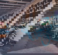 Attack of the Buns - Accommodation Cairns