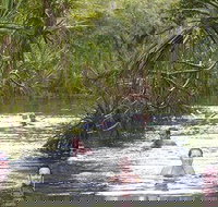 Berry Springs - Accommodation Cairns