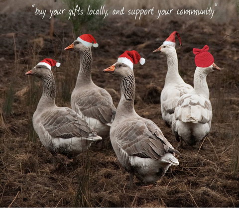 Bream Creek Farmers Market - Accommodation Cairns 1