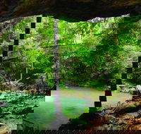 Buderim - Accommodation Cairns