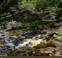 Budderoo National Park - Accommodation Cairns