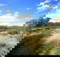 Bullocks walking track - Accommodation Cairns
