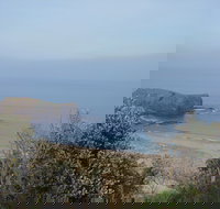 Bushrangers Bay - Accommodation Cairns