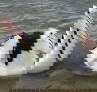 Chinaman Wells - Accommodation Cairns