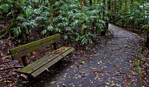 Coombadjha Nature Stroll - Accommodation Cairns 0