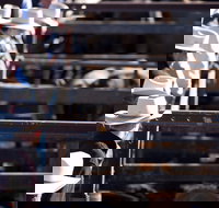 Dalby - Accommodation Cairns