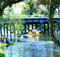 Denmark River - Accommodation Cairns