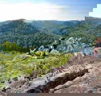 Dubbo Gully Loop Trail - Accommodation Cairns