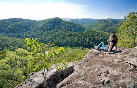 Dubbo Gully Loop Trail - Accommodation Cairns 0