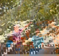 Dubbo - Accommodation Cairns