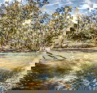 Flea Creek Picnic Area - Accommodation Cairns