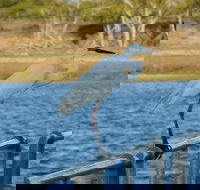 Groper Creek - Accommodation Cairns