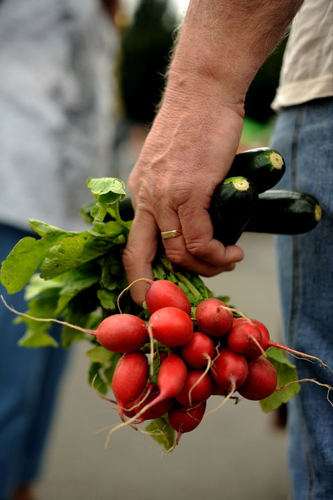 Harvest Launceston Community Farmers' Market - Accommodation Cairns 1